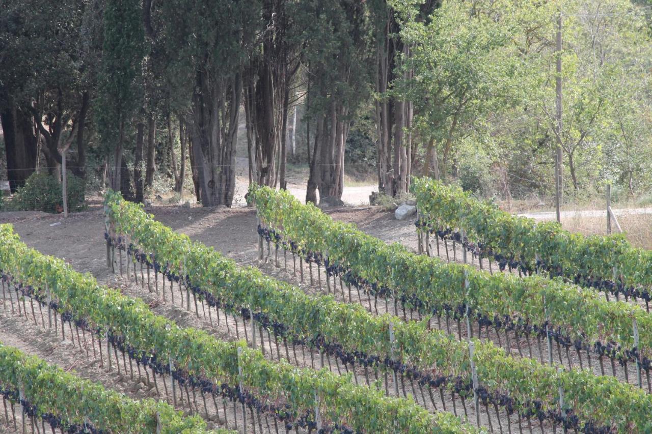 Agriturismo Il Poderuccio Castiglione dʼOrcia Exterior foto